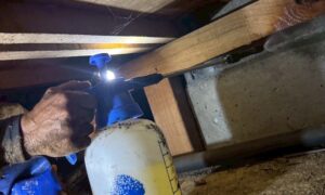 松戸市 床下防虫防蟻工事