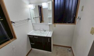 取手市 洗面化粧台取替工事